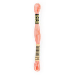 DMC 6-Strand Embroidery Cotton 8.7yd-Shrimp