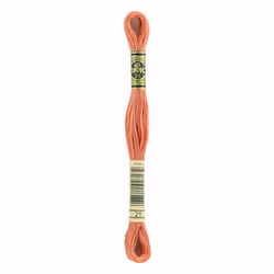 DMC 6-Strand Embroidery Cotton 8.7yd - Light Alizarin