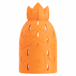 wet n wild House Sponge Case Bob Squarepants Makeup Tools Travel (1114229)  Pineapple