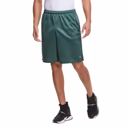 Champion mens 9"""" Shorts Mesh Shorts 9"""" Mesh Basketball Shorts Mesh Gym Short Dark Green-407q88 Medium US