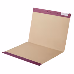 Amazon Basics Hanging Folders  Pack of 25  Letter Size  Assorted Jewel-tone Colors