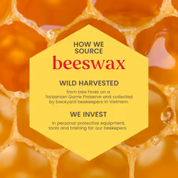 Lip Balm Honey, Moisturising Lip Balm With Beeswax & Vitamin E, 100% Natural Origin, 4.25g