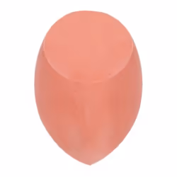 Real Techniques Miracle Face + Body Sponge, Rounded, Orange, Latex, 1 pc(s)