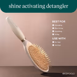 EcoTools Shine Activating Detangler Hairbrush  Brush For Wet Or Dry Hair  Gently Detangle & Style Hair  Heat Safe Paddle Brush  Flexible Bristles  Ren
