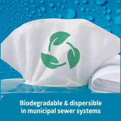 Medline ReadyFlush Biodegradable Flushable Personal Cleansing Wipes  Fragrance Free  24 Count