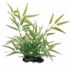 Fluval Bamboo Shoots Plant for Aquarium 14-Inch