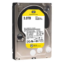 Western Digital Re WD3001FYYG 3TB 7200 RPM SAS 6Gb/s 32MB Cache 3.5 Inch Datacenter Capacity Enterprise Hard Drive