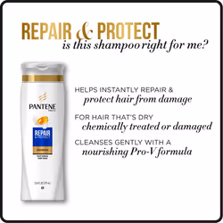 Pantene Argan Oil Shampoo 25.4 OZ and Sulfate Free Conditioner 24 OZ for Damaged Hair  Repair and Protect  Bundle Pack