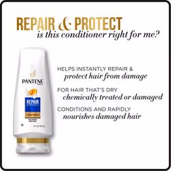 Pantene Argan Oil Shampoo 25.4 OZ and Sulfate Free Conditioner 24 OZ for Damaged Hair  Repair and Protect  Bundle Pack