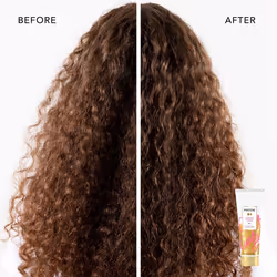 Pantene  Shampoo and Sulfate Free Conditioner Kit