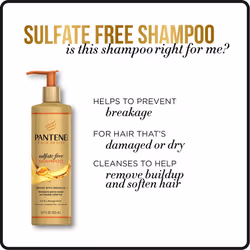 Pantene Gold Series Argan Oil from ProV for Natural and Curly Textured Hair  Sulfate Free Shampoo  85 Fl Oz