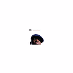 The Notorious B.I.G.