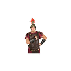 Official Roman Arm Guards Adult (One Size)
