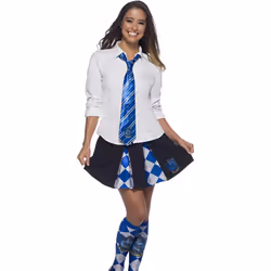 Rubie's Official Harry Potter House Deluxe Tie, Costume Accessory Adults / Childs One Size