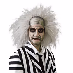 BEETLEJUICE WIG