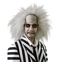 BEETLEJUICE WIG