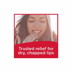 Carmex Classic Lip Balm Medicated  025 oz Pack of 3