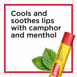 Carmex Classic Medicated Lip Balm Sticks  Lip Moisturizer for Chapped Lips  12 Count (4 Packs of 3)