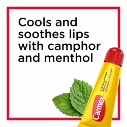 Carmex Classic Medicated Lip Balm Tubes  Lip Moisturizer for Chapped Lips  12 Count (4 Packs of 3)
