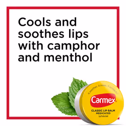 Carmex Medicated Lip Balm Variety Pack  Lip Moisturizer for Dry  Chapped Lips: Carmex Classic Sticks 0.15oz  3 count  Carmex Classic Tubes 0.35oz  3 c