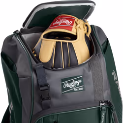 Rawlings | FRANCHISE Backpack Equipment Bag | Baseball / Softball | Da