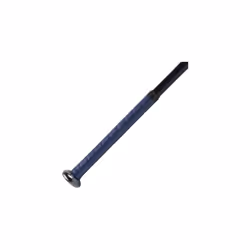 Rawlings | ECLIPSE Fastpitch Softball Bat |SSA | -12 | 28'