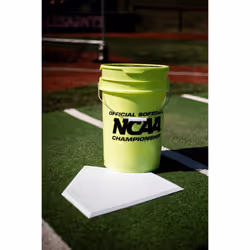 Rawlings | NC12BB Fastpitch Softballs & Bucket | 12"""" | 18 Count