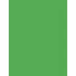 Pacon P104317, Universal, Letter (215.9x279.4 mm), Fluorescent, 100 sheets, 90 g/m², Green