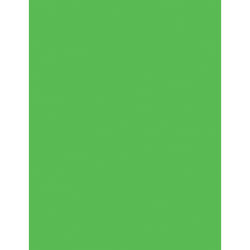 Pacon P104317 printing paper Letter (215.9x279.4 mm) Fluorescent 100 sheets Green