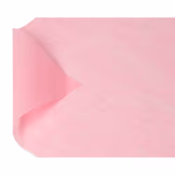 Papyrus Light Pink Tissue Paper for Mother's Day  Easter  Birthdays  Weddings  Bridal Showers  Baby Showers and All Occasions 8-Sheets