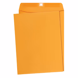 Amazon Basics 9 x 12-Inch Clasp Kraft Envelopes Gummed 100-Pack