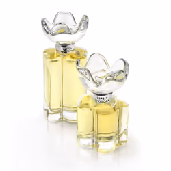 Oscar de la Renta Esprit D'Oscar Eau de Parfum Perfume Spray for Women  3.4 Fl. Oz.