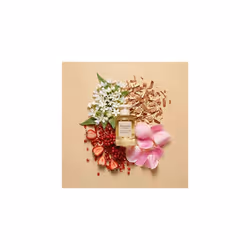 Abercrombie & Fitch Authentic Moment Woman 100ml EDP Spray