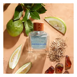 Canyon Escape For Him eau de toilette spray 50 ml