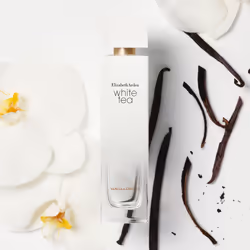 Elizabeth Arden White Tea Vanilla Orchid Eau De Toilette Spray 100 ml