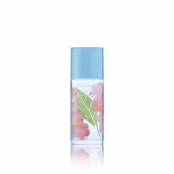 Elizabeth Arden Green Tea Sakura Blossom Body Cream 500 ml