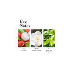 Elizabeth Arden Green Tea Lychee Lime Eau de Toilette (100ml) Fruity & Floral Scent, Luxury Fragrance for Women