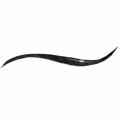 Elizabeth Arden Beautiful Color Liquid Asset Eyeliner 01 Dark Valentine 1.7ml