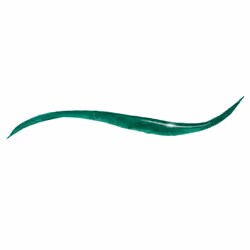 Elizabeth Arden Beautiful Color Liquid Asset Eyeliner 05 Mystic Green 1.7ml
