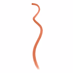 Elizabeth Arden Plump Up Lip Liner 03 Kiss Me Coral 1.2g