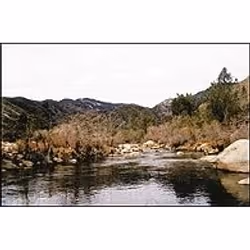 Cokin WP1R153 camera lens filter Neutral density camera filter