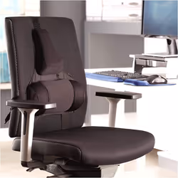 fellowes Professional Series Ultimate Back Support