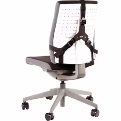 fellowes Professional Series Ultimate Back Support