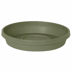 Bloem Terra Pot Round Drain Saucer  Living Green  Tray for Planters 1520  Matte Finish  Durable Resin  Ribbed Bottom  for
