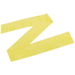 THERABAND Professional Latex Resistance Bands  Individual 6 Ft Elastic Band for Upper & Lower Body Exercise  Physical Therapy  Pilates  At-Home Workou
