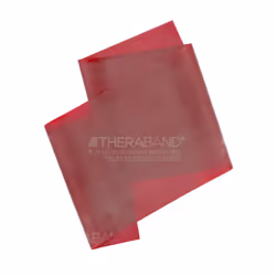 THERABAND Professional Latex Resistance Bands  Individual 6 Ft Elastic Band for Upper & Lower Body Exercise  Physical Therapy ...