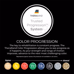 THERABAND Professional Latex Resistance Bands  Individual 6 Ft Elastic Band for Upper & Lower Body Exercise  Physical Therapy  Pilates  At-Home Workou
