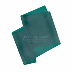 THERABAND Professional Latex Resistance Bands  Individual 6 Ft Elastic Band for Upper & Lower Body Exercise  Physical Therapy ...