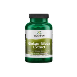 Ginkgo Biloba Extract 24%, 60mg - 240 caps