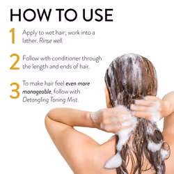 Philip B Pepperment Avocado Shampoo | Volumizing & Clarifying Shampoo Refreshes Scalp and Deep-Cleans Hair  7.4 oz.